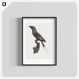 1-84_Des-Oiseaux-de-Paradis_blk