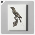 1-84_Des-Oiseaux-de-Paradis_canvas