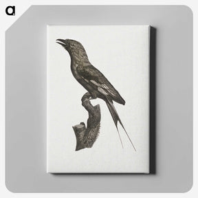 1-84_Des-Oiseaux-de-Paradis_canvas