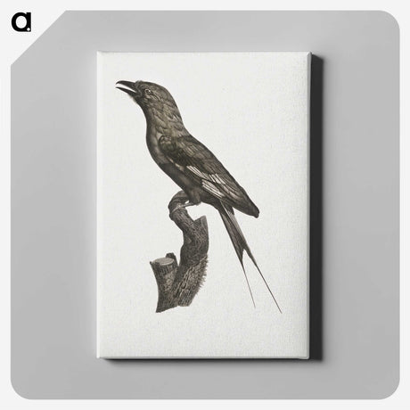 1-84_Des-Oiseaux-de-Paradis_canvas