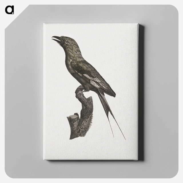 1-84_Des-Oiseaux-de-Paradis_canvas