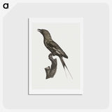 1-84_Des-Oiseaux-de-Paradis_hagaki