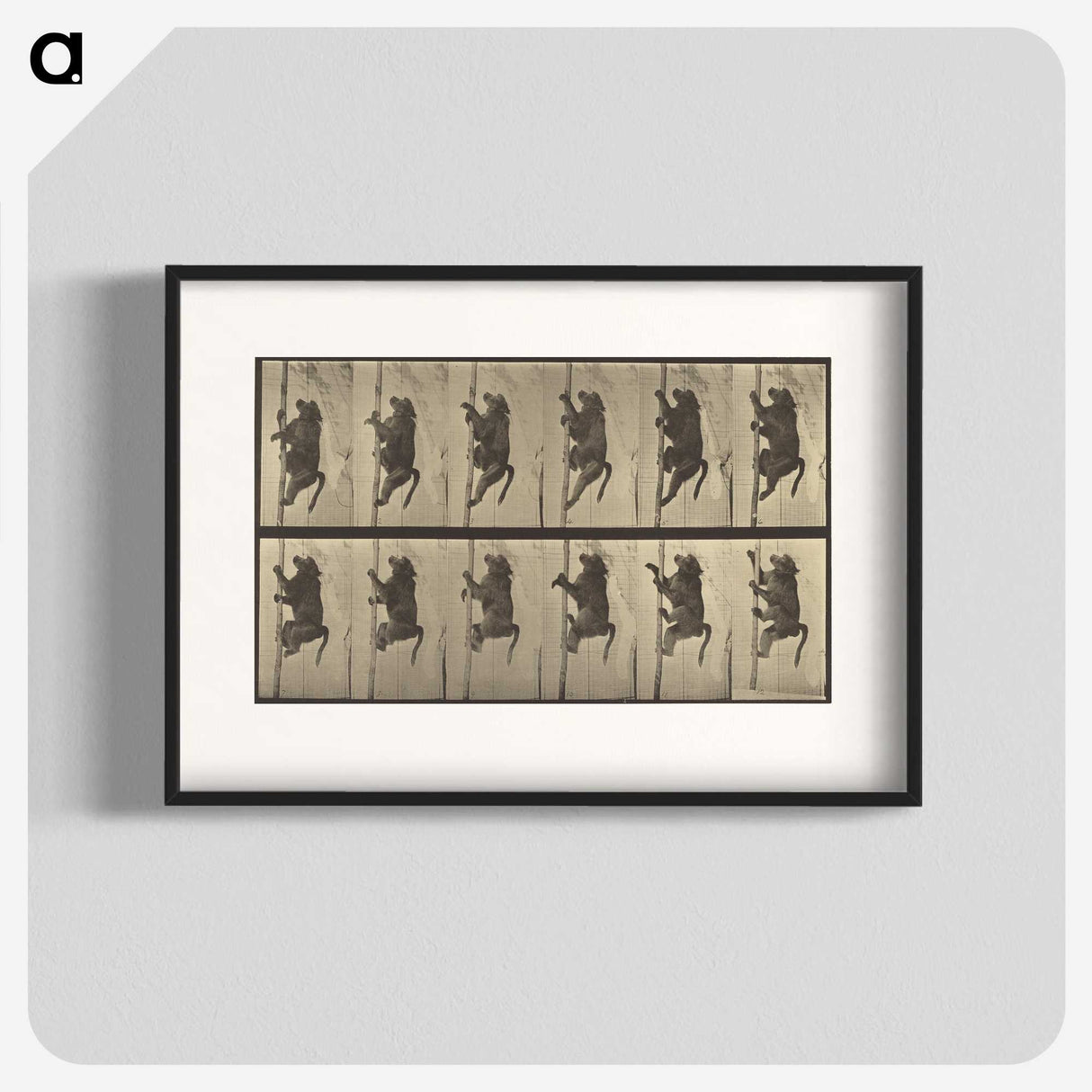 1-84_Eadweard-Muybridge_blk