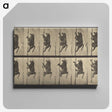 1-84_Eadweard-Muybridge_canvas