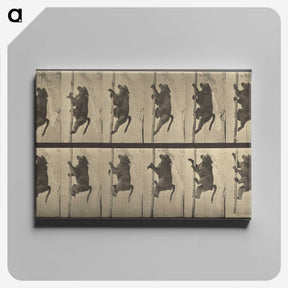 1-84_Eadweard-Muybridge_canvas