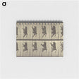 1-84_Eadweard-Muybridge_memo