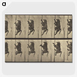 1-84_Eadweard-Muybridge_picture-crop