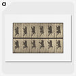 1-84_Eadweard-Muybridge_picture