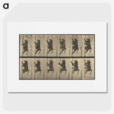 1-84_Eadweard-Muybridge_picture