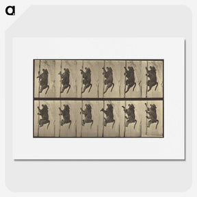 1-84_Eadweard-Muybridge_picture