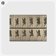 1-84_Eadweard-Muybridge_postcard