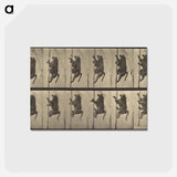 アートポストカード-Animal Locomotion
 - エドワード マイブリッジ Postcard.