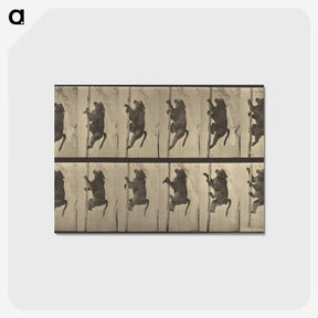 1-84_Eadweard-Muybridge_postcard