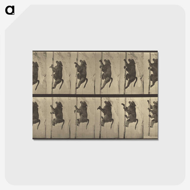 1-84_Eadweard-Muybridge_postcard