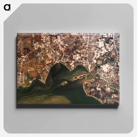 アートパネル-Cartographic Depiction of Galveston Bay and Adjacent Counties
 - 上空からの地球 Canvas.
