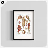 1-84_Ernst-Haeckel_blk