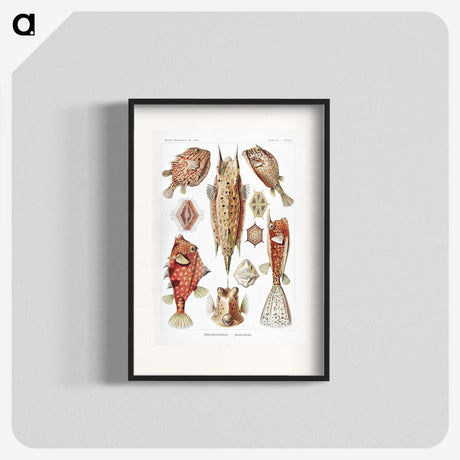 1-84_Ernst-Haeckel_blk