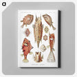 1-84_Ernst-Haeckel_canvas