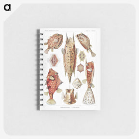 1-84_Ernst-Haeckel_memo
