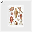 1-84_Ernst-Haeckel_postcard
