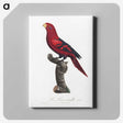 1-84_Francois-Levaillant_canvas