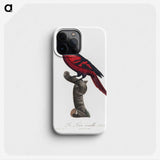 1-84_Francois-Levaillant_phone