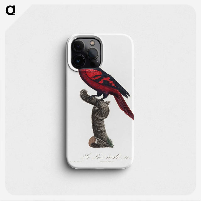 1-84_Francois-Levaillant_phone
