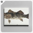 1-84_Frank-Edward-Clarke_canvas