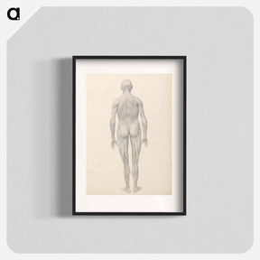 アートポスター-Human Figure, Posterior View, Partially Dissected
 - ジョージ スタッブス Poster.