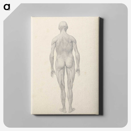 1-84_George-Stubbs_canvas