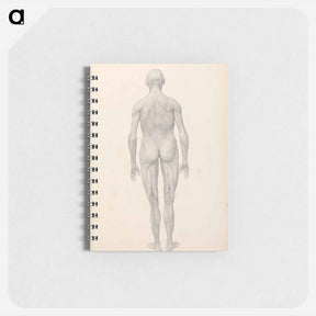 アートメモ帳-Human Figure, Posterior View, Partially Dissected
 - ジョージ スタッブス Memo.