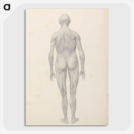 1-84_George-Stubbs_picture-crop