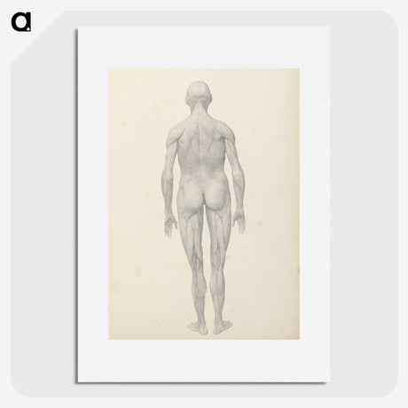 1-84_George-Stubbs_picture