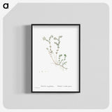 1-84_Histoire-des-Plantes-Grasses_blk-crop
