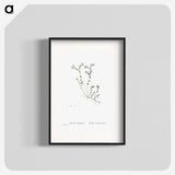 1-84_Histoire-des-Plantes-Grasses_blk