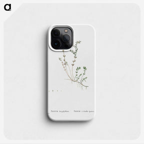 1-84_Histoire-des-Plantes-Grasses_phone