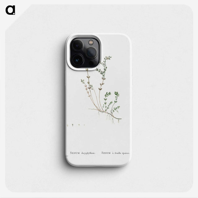 1-84_Histoire-des-Plantes-Grasses_phone