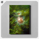 1-84_Hubble-Images_canvas