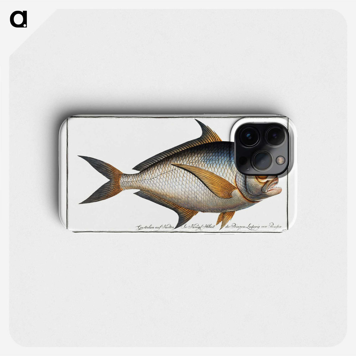 1-84_Ichtyologie-ou-Histoire-naturelle_phone