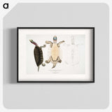 1-84_Indian-Zoology_blk