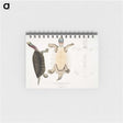 1-84_Indian-Zoology_memo
