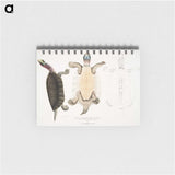 1-84_Indian-Zoology_memo