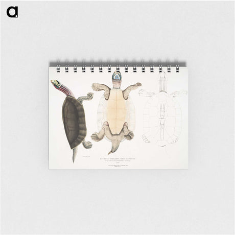 1-84_Indian-Zoology_memo
