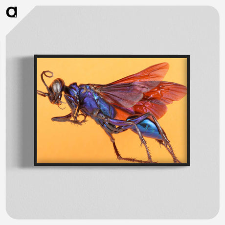 1-84_Insects-Unlocked-Project_blk-crop