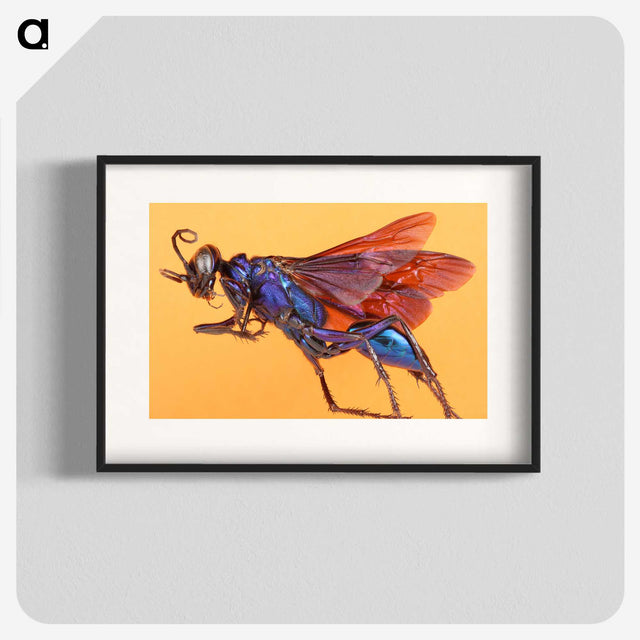 1-84_Insects-Unlocked-Project_blk