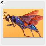 1-84_Insects-Unlocked-Project_picture-crop