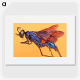 1-84_Insects-Unlocked-Project_picture