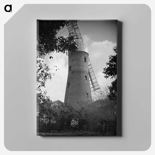 1-84_James-Walter-Chapman-Taylor_canvas