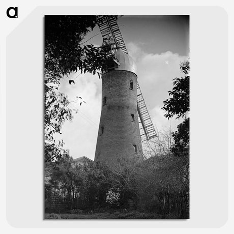 1-84_James-Walter-Chapman-Taylor_picture-crop