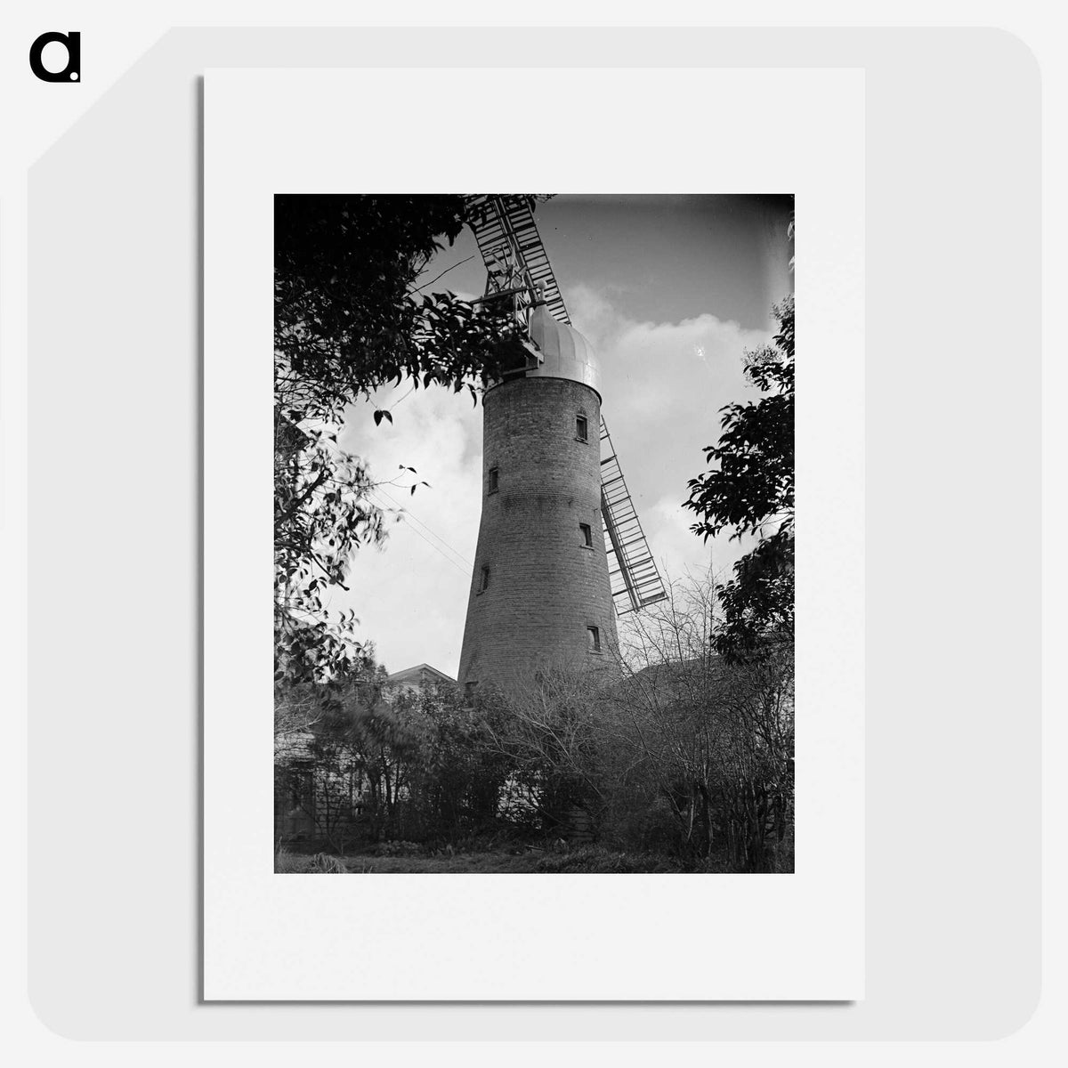 1-84_James-Walter-Chapman-Taylor_picture